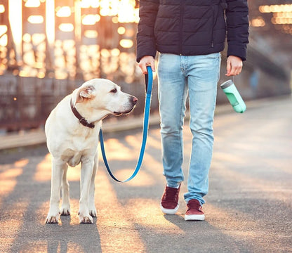 Collapsable Pet Water Bottle